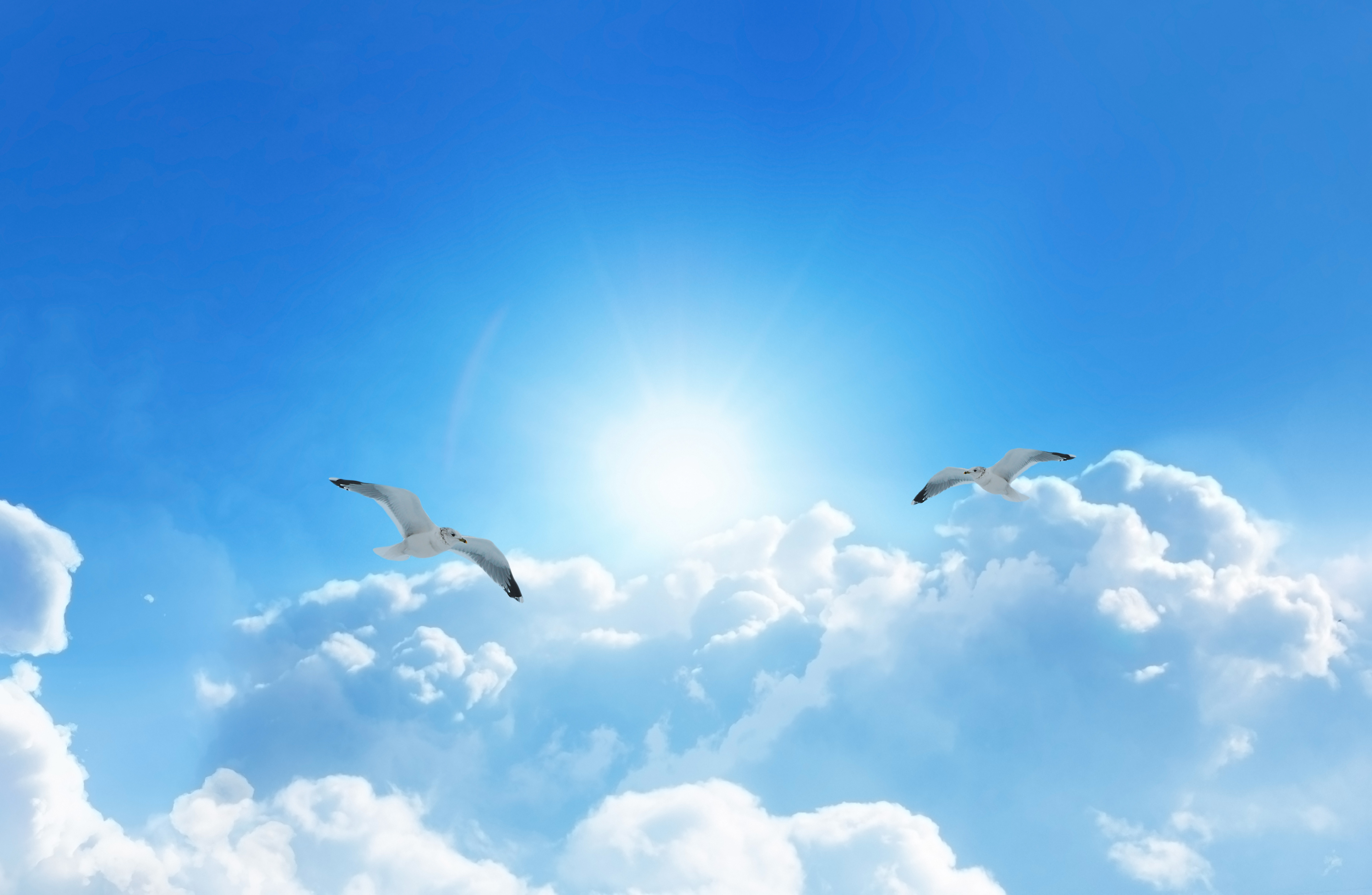 Energy Efficiency and Emissions